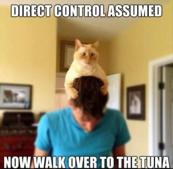 So True (35 pics)