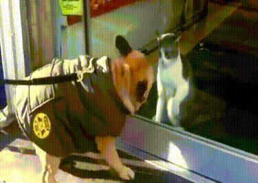 Acid Gifdump, July 6 (25 gifs)