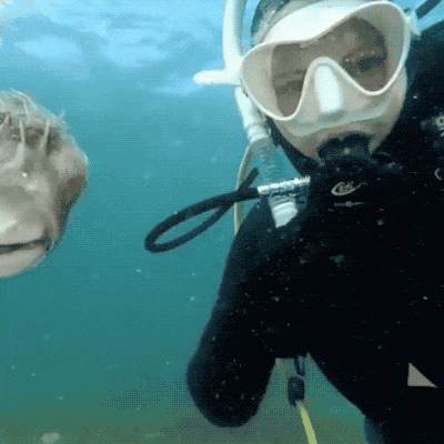 Acid Gifdump, July 6 (25 gifs)