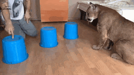 Acid Gifdump, July 6 (25 gifs)