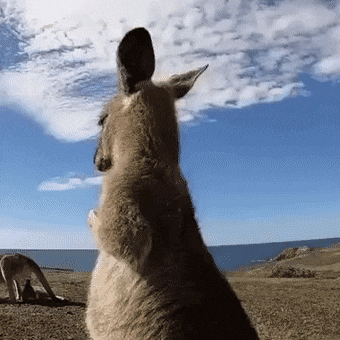 Acid Gifdump, July 6 (25 gifs)