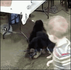 Acid Gifdump, July 6 (25 gifs)