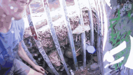 Acid Gifdump, July 6 (25 gifs)