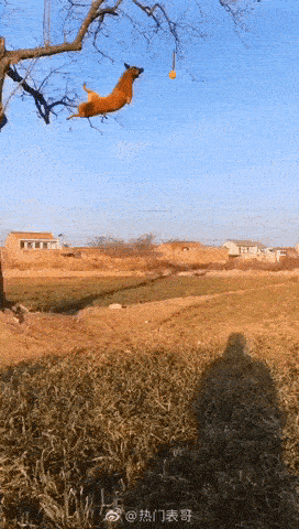 Acid Gifdump, July 6 (25 gifs)