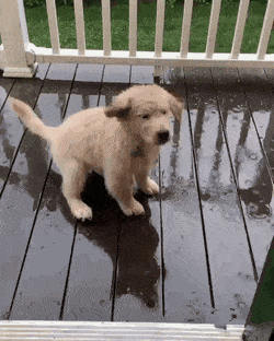 Acid Gifdump, July 6 (25 gifs)