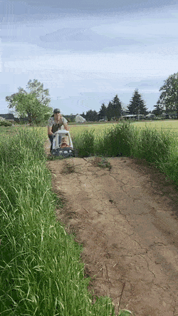 Acid Gifdump, July 6 (25 gifs)
