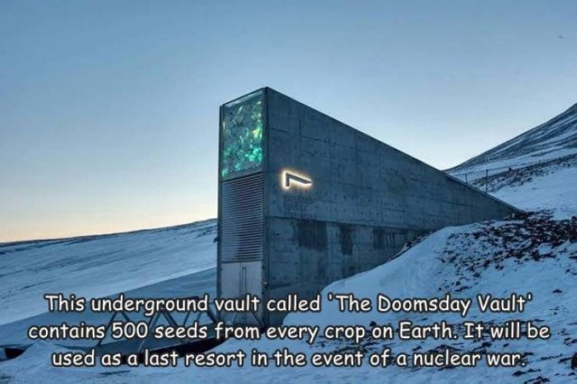 Acid Picdump 2 (71 pics)