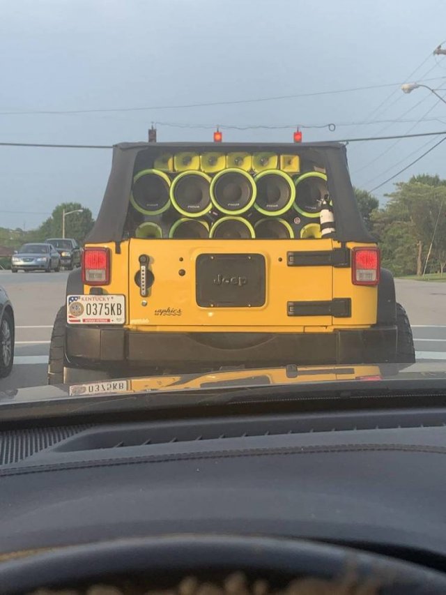 Acid Picdump 2 (71 pics)