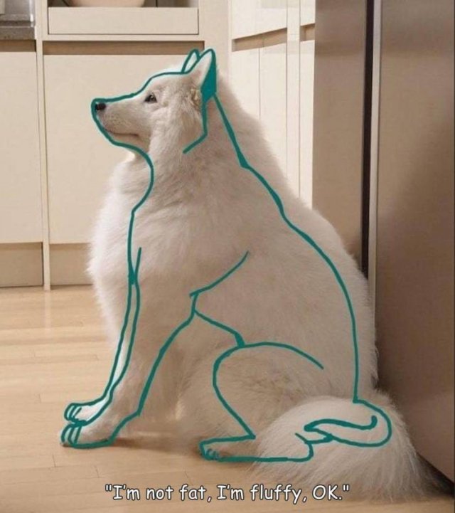 Acid Picdump 2 (71 pics)