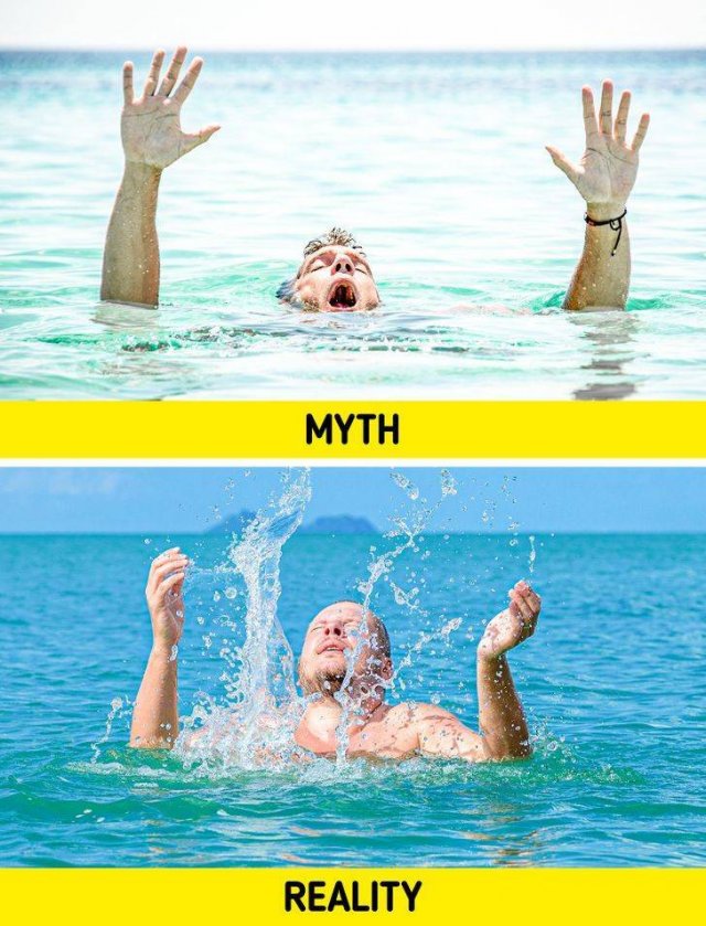 Human Body Myths (10 pics)