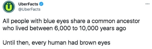 Interesting Facts (29 pics)