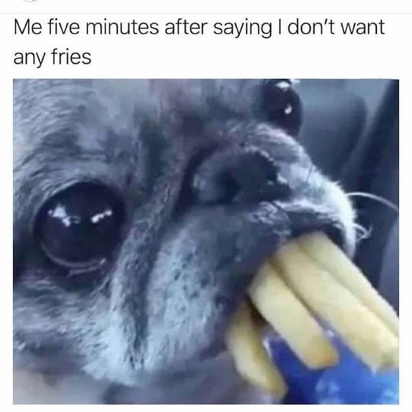 Memes For Women (30 pics)