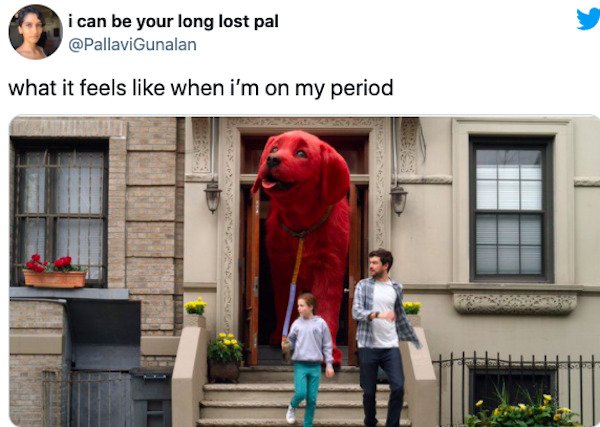 Memes For Women (30 pics)