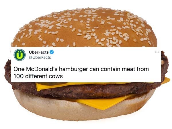 Interesting Facts (29 pics)