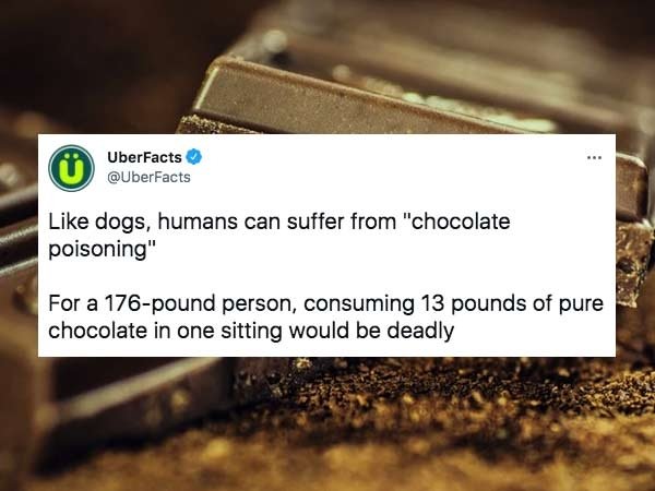 Interesting Facts (29 pics)