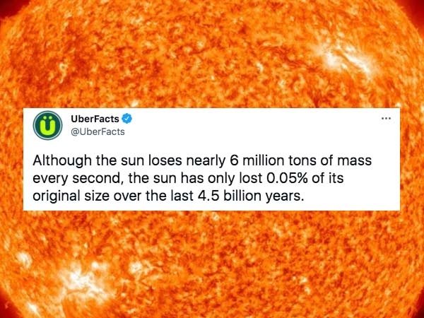 Interesting Facts (29 pics)