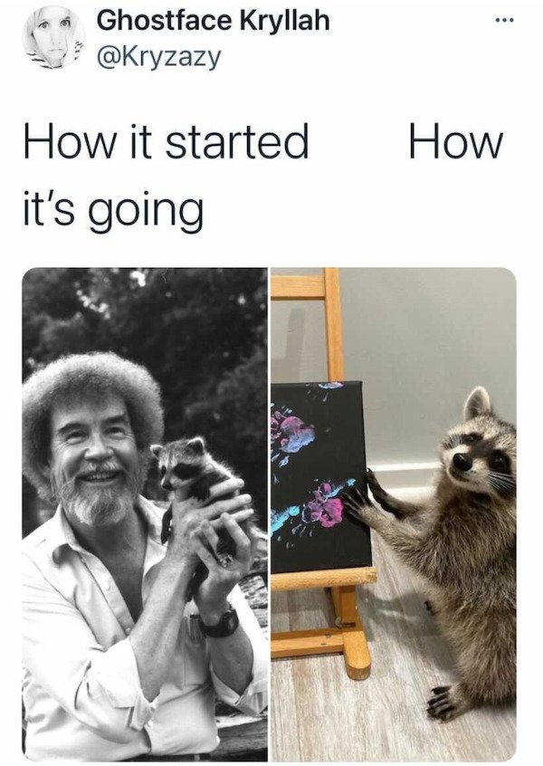 Funny Animal Memes And Pictures (61 pics)