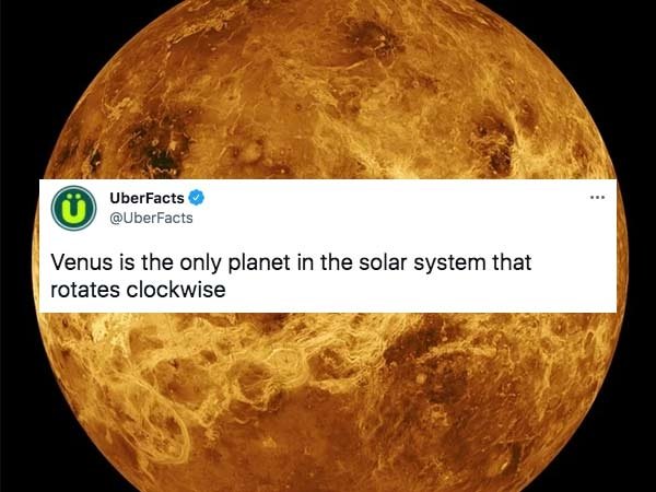 Interesting Facts (29 pics)