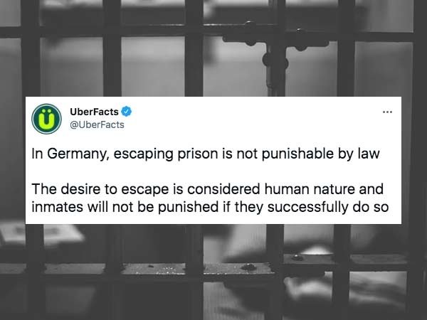 Interesting Facts (29 pics)
