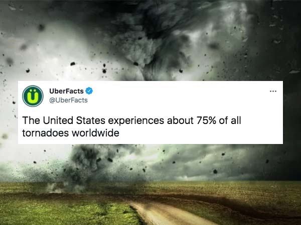 Interesting Facts (29 pics)
