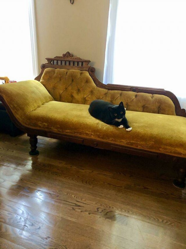 Amazing Old Things (48 pics)