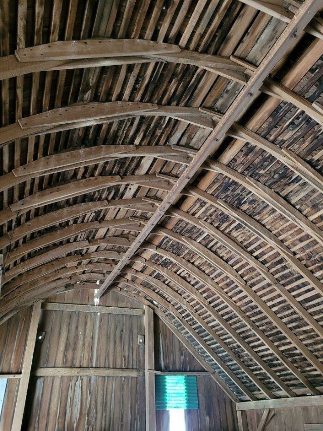 Amazing Old Things (48 pics)