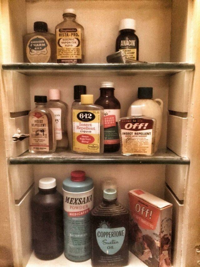 Amazing Old Things (48 pics)