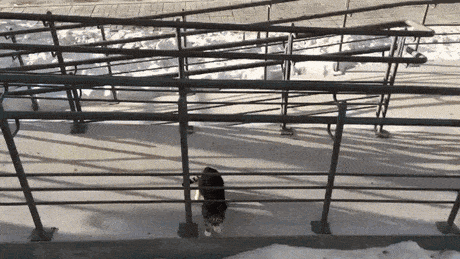 Acid Gifdump, July 8 (25 gifs)