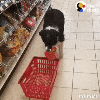 Acid Gifdump, July 8 (25 gifs)