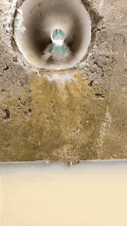Acid Gifdump, July 8 (25 gifs)