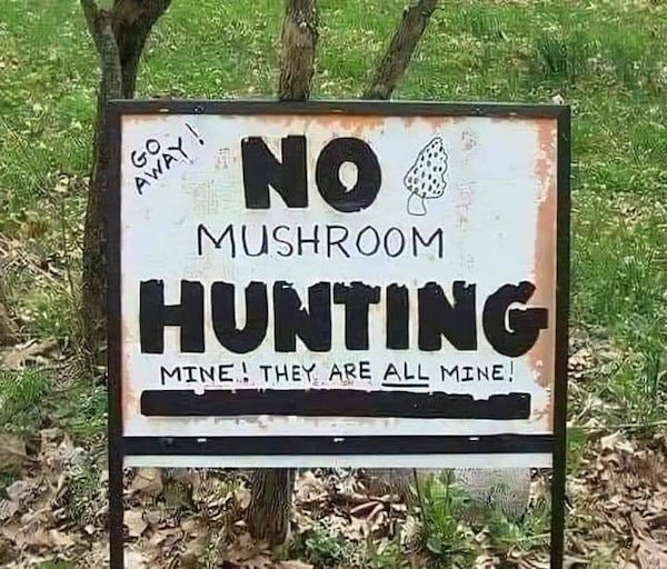 Weird Signs (31 pics)