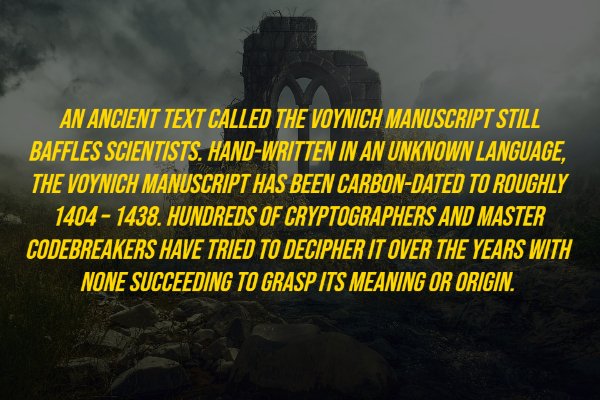 History Facts (18 pics)