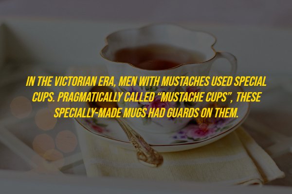 History Facts (18 pics)