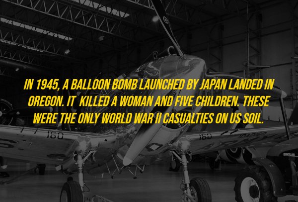 History Facts (18 pics)