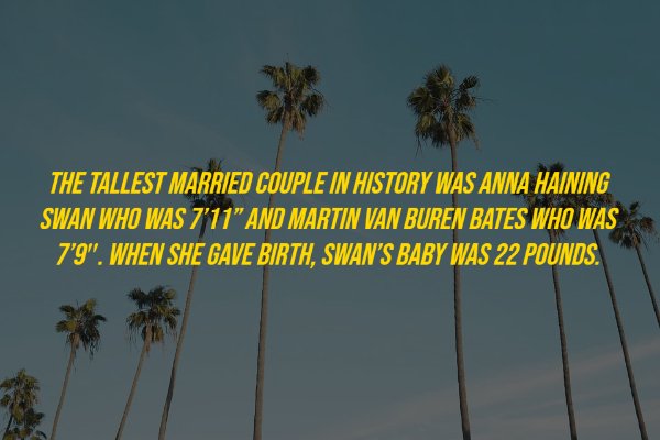 History Facts (18 pics)