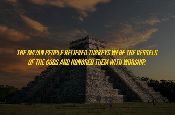 History Facts (18 pics)