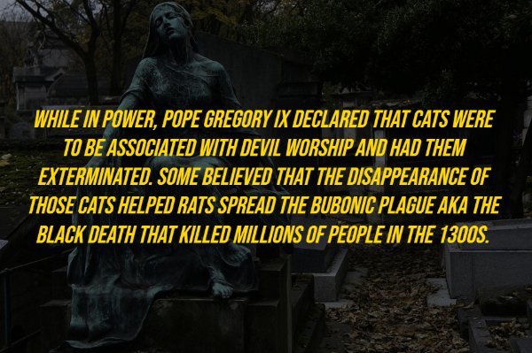 History Facts (18 pics)
