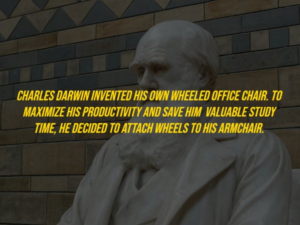History Facts (18 pics)