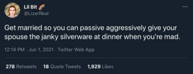 Married Life Tweets (25 pics)