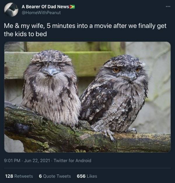 Married Life Tweets (25 pics)