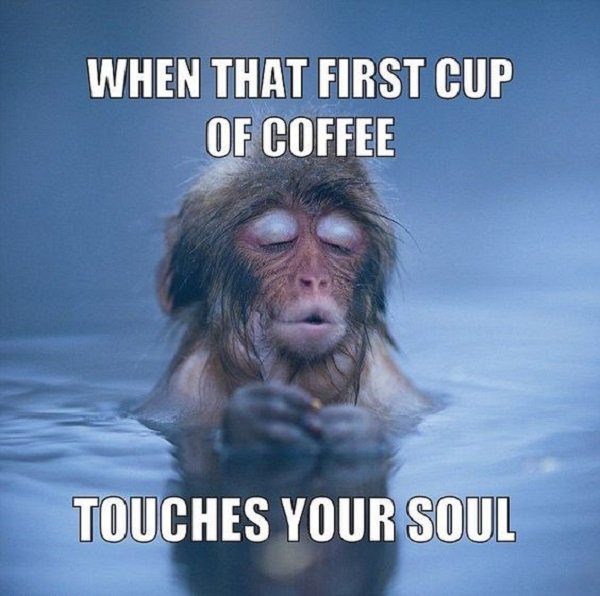 Memes And Pictures For Coffee Lovers (19 pics)