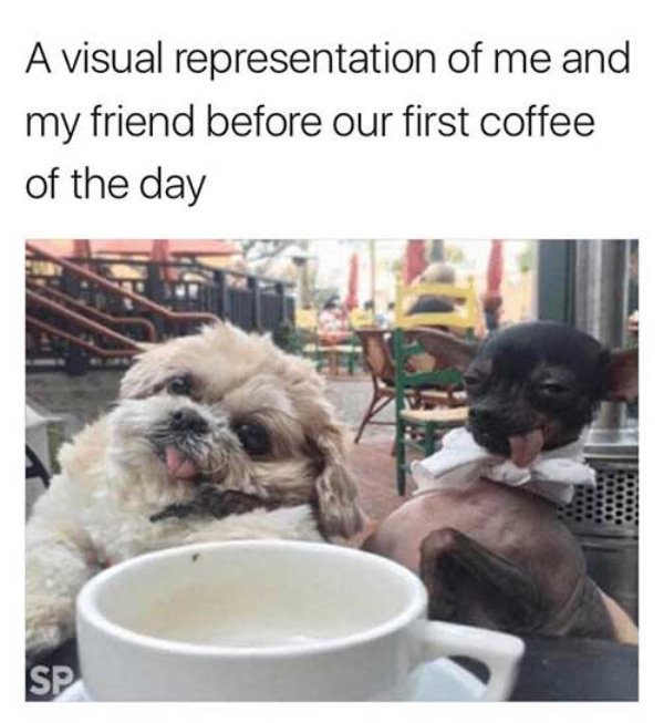 Memes And Pictures For Coffee Lovers (19 pics)