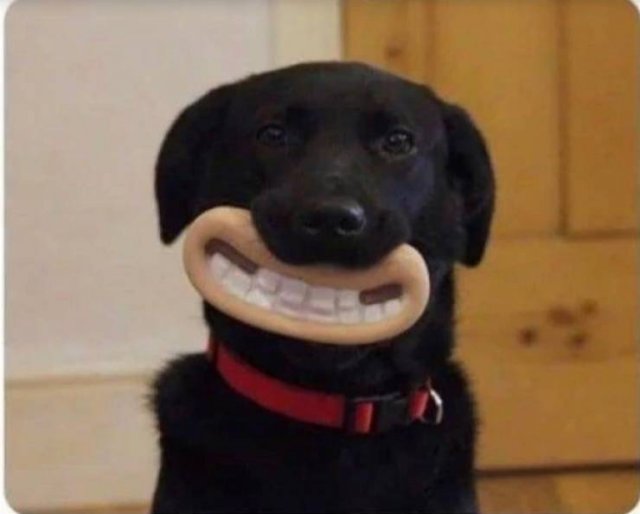 Acid Picdump 1 (52 pics)