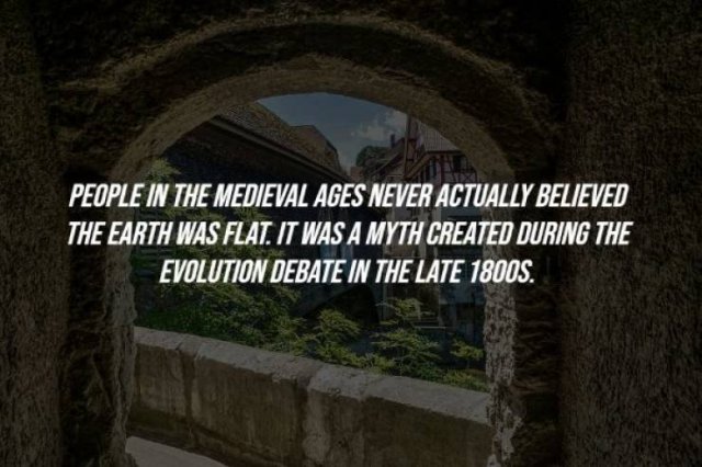 Interesting Facts (20 pics)