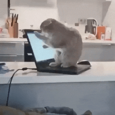Acid Gifdump, July 12 (25 gifs)