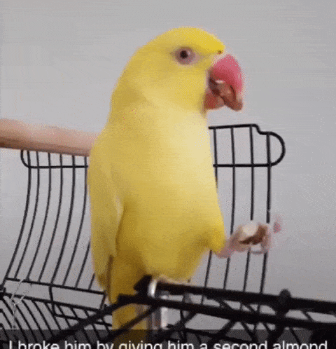 Acid Gifdump, July 12 (25 gifs)