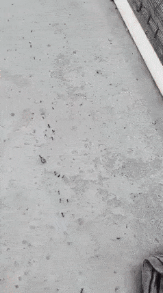 Acid Gifdump, July 12 (25 gifs)