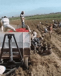 Acid Gifdump, July 12 (25 gifs)