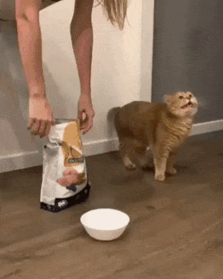 Acid Gifdump, July 12 (25 gifs)