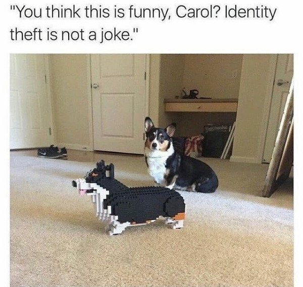 Dogs Memes (32 pics)